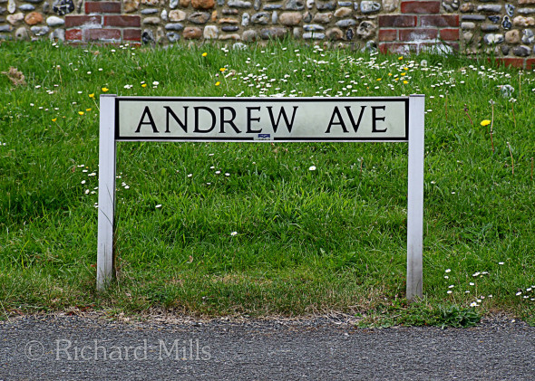 Andrew-Avenue