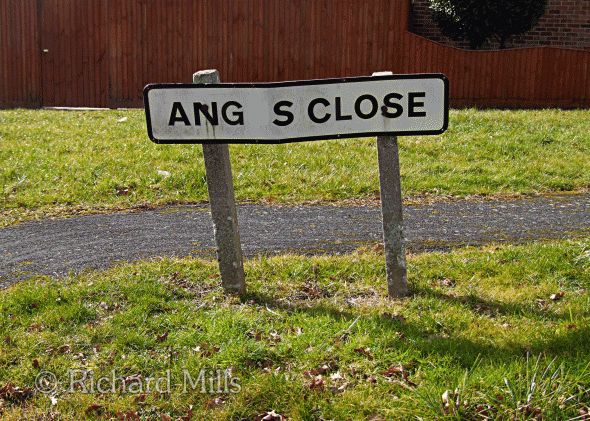 Angus-Close