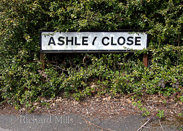Ashley-Close
