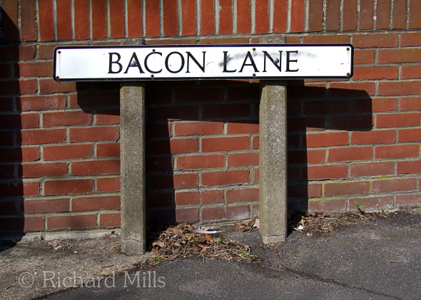 Bacon-Lane