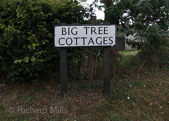 Big-Tree-Cottages