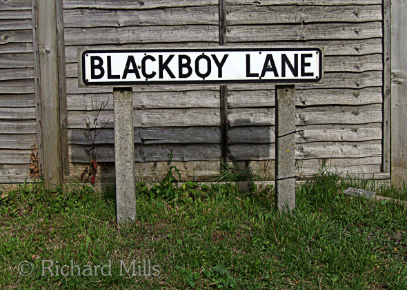 Blackboy-Lane