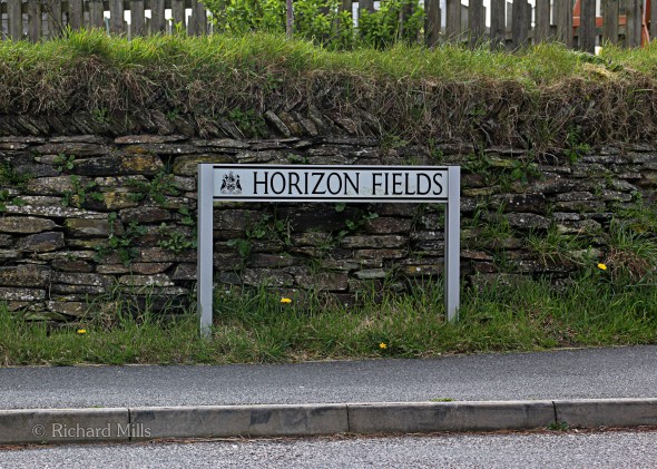 Horizon Fields