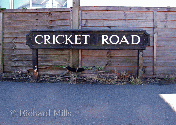 Cricket-Road