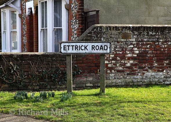 Ettrick-Road---Chichester---Feb-2012-077-e-©