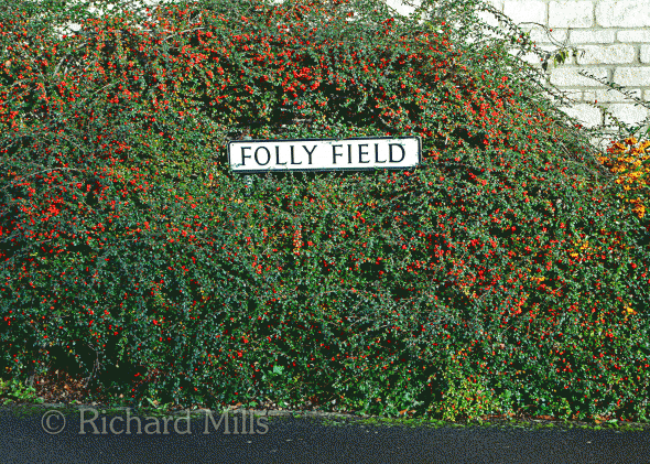 Folly-Field