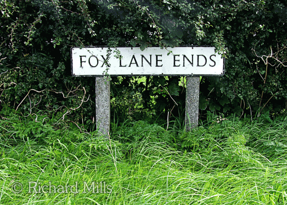 Fox-Lane-Ends