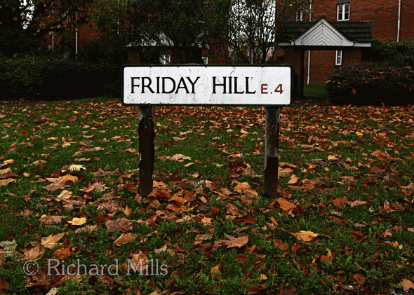 Friday-Hill