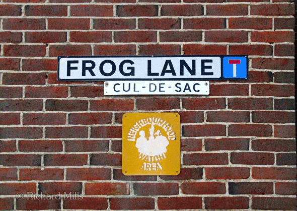 Frog-Lane