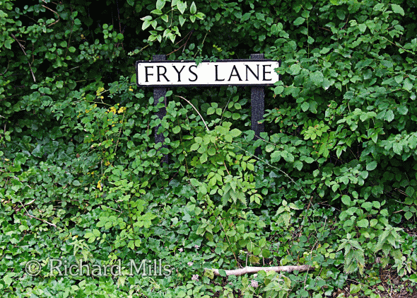 Frys-Lane