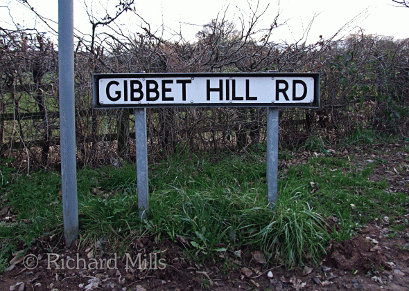 Gibbet-Hill-Road