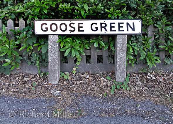 Goose-Green