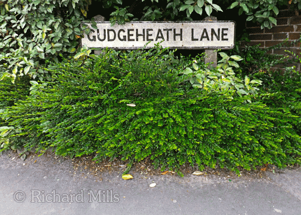 Gudgeheath-Lane