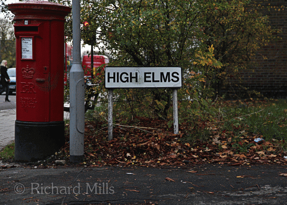 High-Elms