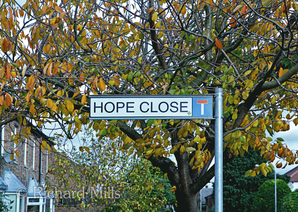 Hope-Close---Buckhurst-Hill---Nov-11-027-e-©