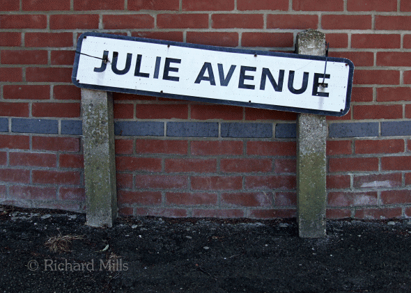 Julie-Avenue