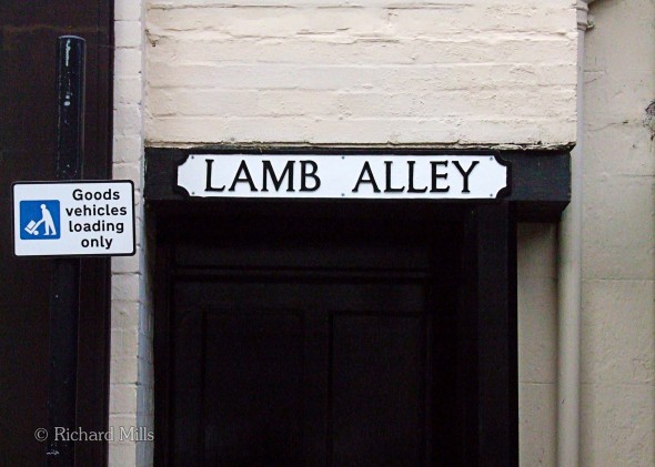 Lamb-Alley