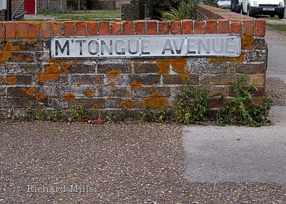 M'Tongue-Avenue---Emsworth---Bosham---Oct-'09-09-e-©