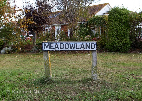 Meadowland---Selsey---Oct-11-018-e-©