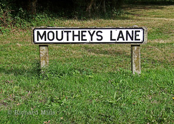 Moutheys-Lane---Bosham---Aug-09-41-e-©
