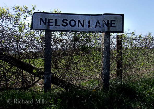 Nelson-Lane