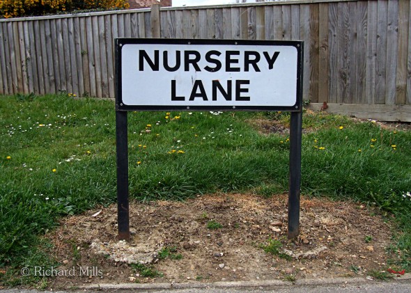 Nursery-Lane