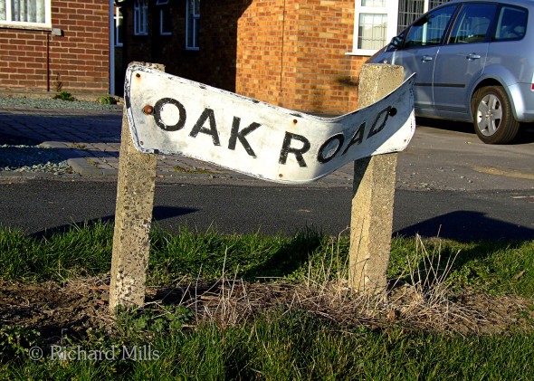 Oak-Road