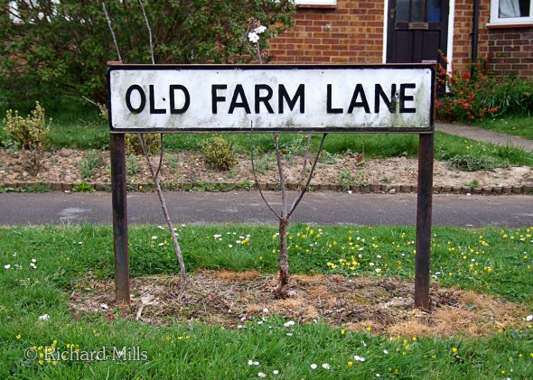 Old-Farm-Lane