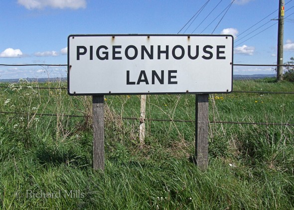 Pigeonhouse-Lane