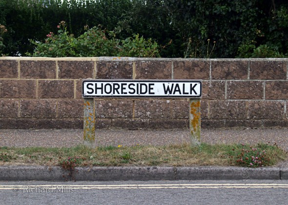 Shoreside-Walk
