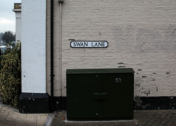 Swan-Lane