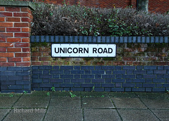 Unicorn-Road
