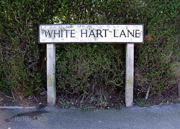 White-Hart-Lane