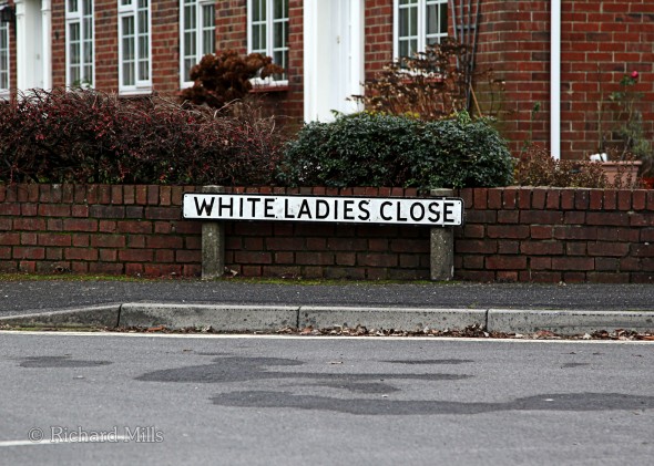 White-Ladies-Close