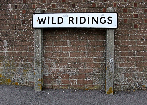 Wild-Ridings