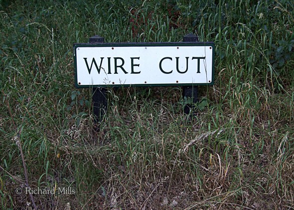 Wire-Cut