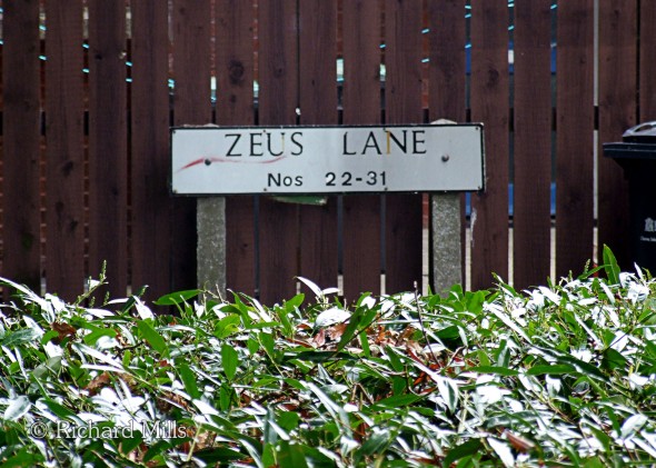 Zeus-Lane