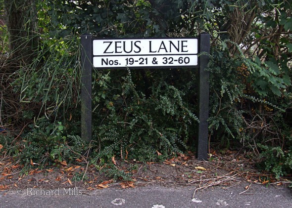 Zeus-Lane