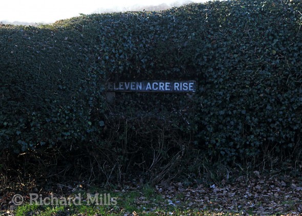 Eleven-Acre-Rise---Loughton---Jan-2012-39-e-©