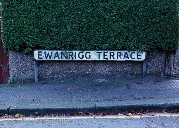 Ewanrigg-Terrace---Buckhurst-Hill---Nov-11-118-e-©