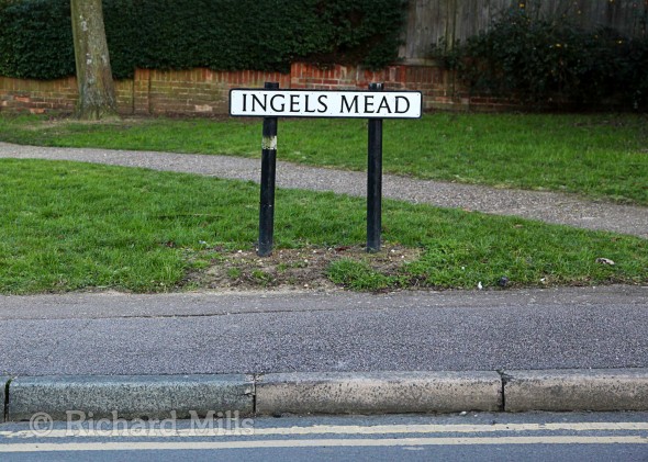 Ingels-Mead---Waltham-Cross---Jan-2012-60-e-©