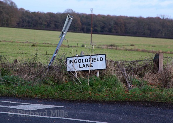 Ingoldfield-Lane---Bere-Forest---Dec-2011-139-e-©