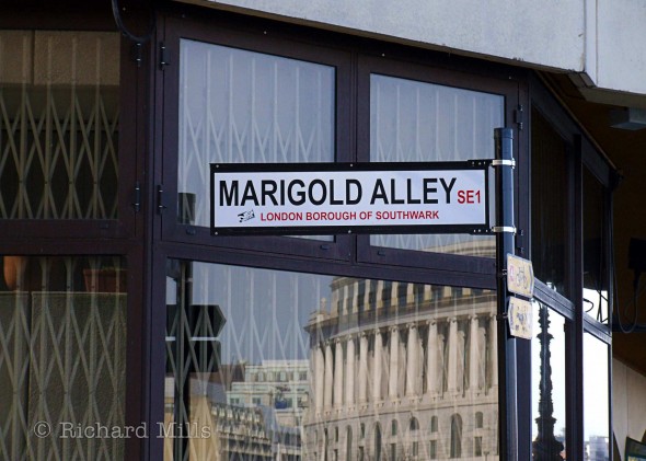 Marigold-Alley---London---Mar-'09-32-e-©