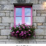 French Windows_resize