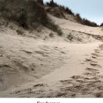 Sandscapes