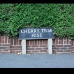 Cherry Tree Rise_resize