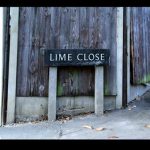Lime Close_resize