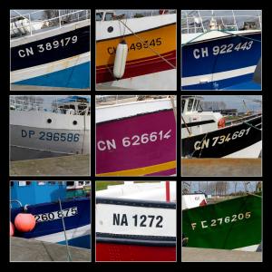 Grid 22 - Boat Numbers resize