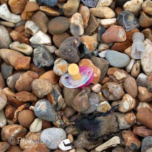 Hayling - March 2015 071 esq © resize