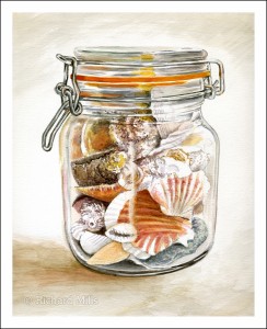 Seashells - Watercolour10" x 8"